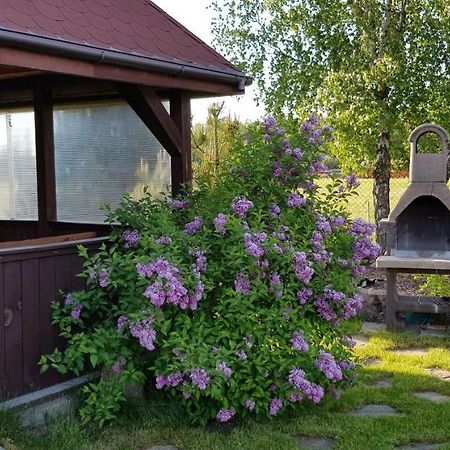 Dom W Skowronkach Villa Сашино Екстериор снимка