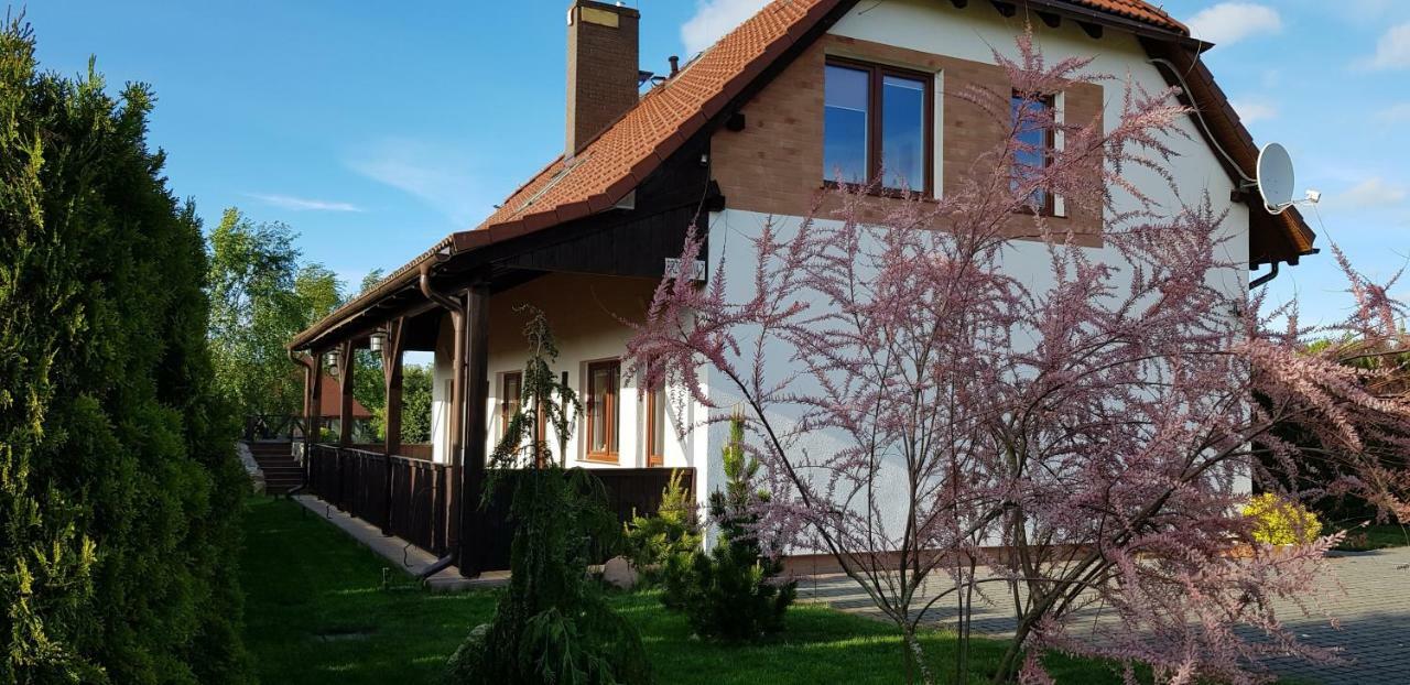 Dom W Skowronkach Villa Сашино Екстериор снимка