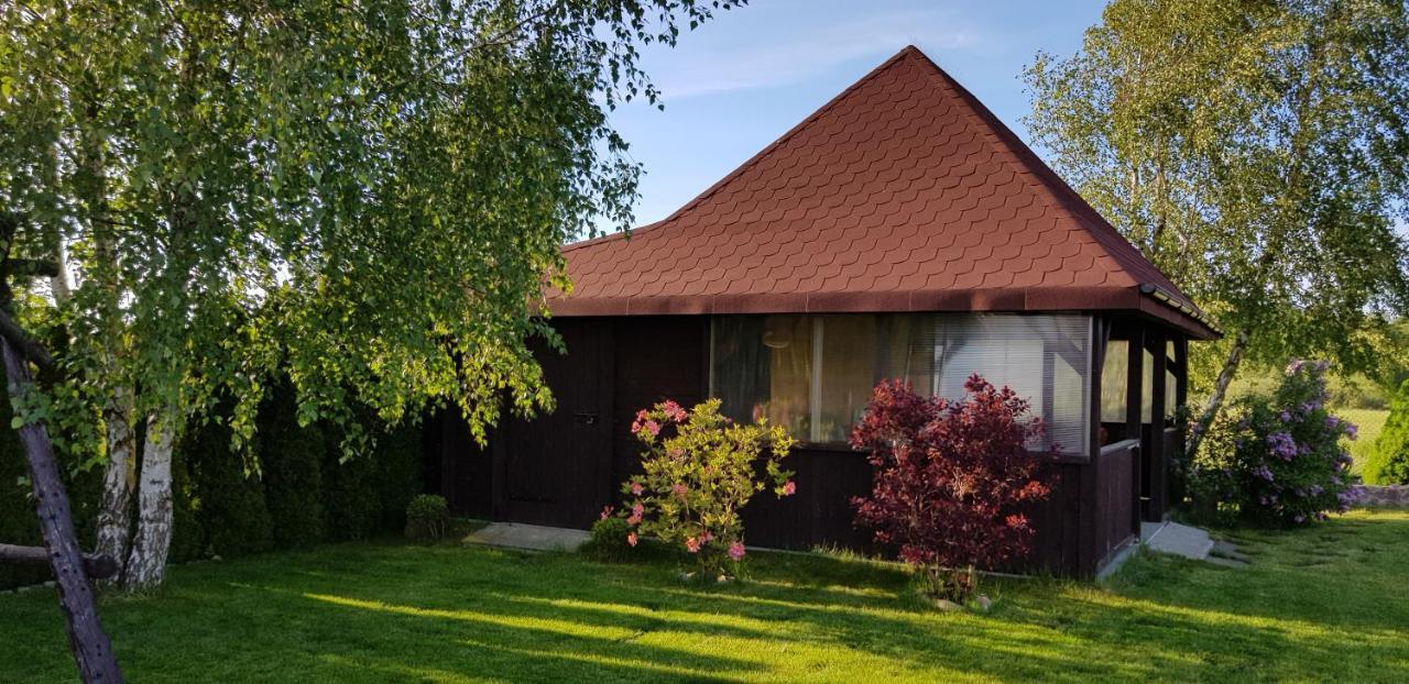 Dom W Skowronkach Villa Сашино Екстериор снимка