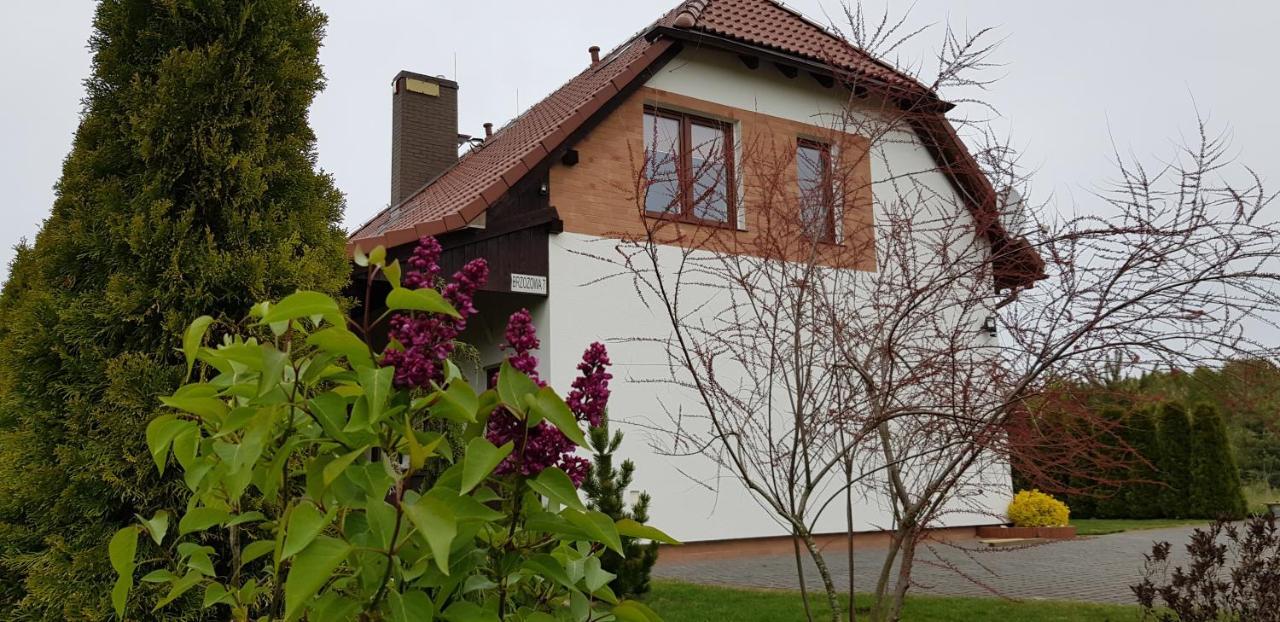 Dom W Skowronkach Villa Сашино Екстериор снимка